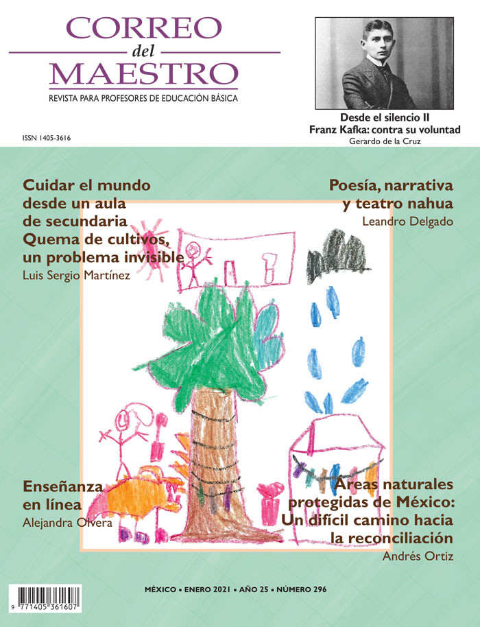 Correo del Maestro - Enero 2021 #296