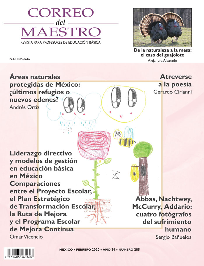 Correo del Maestro - Febrero 2020 #285