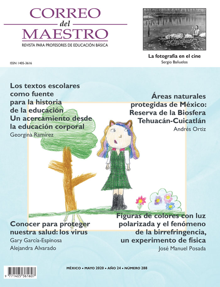 Correo del Maestro - Mayo 2020 #288