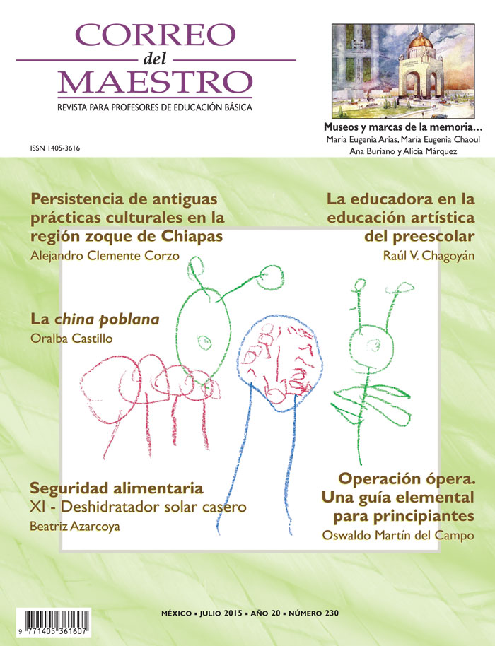 Correo del Maestro - Julio 2015 #230