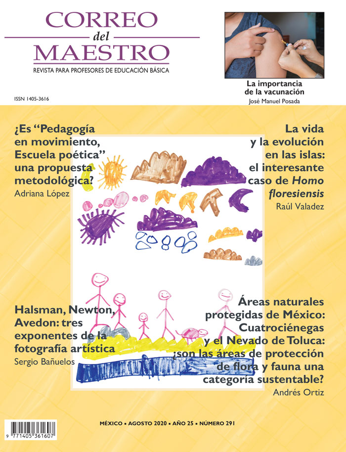 Correo del Maestro - Agosto 2020 #291