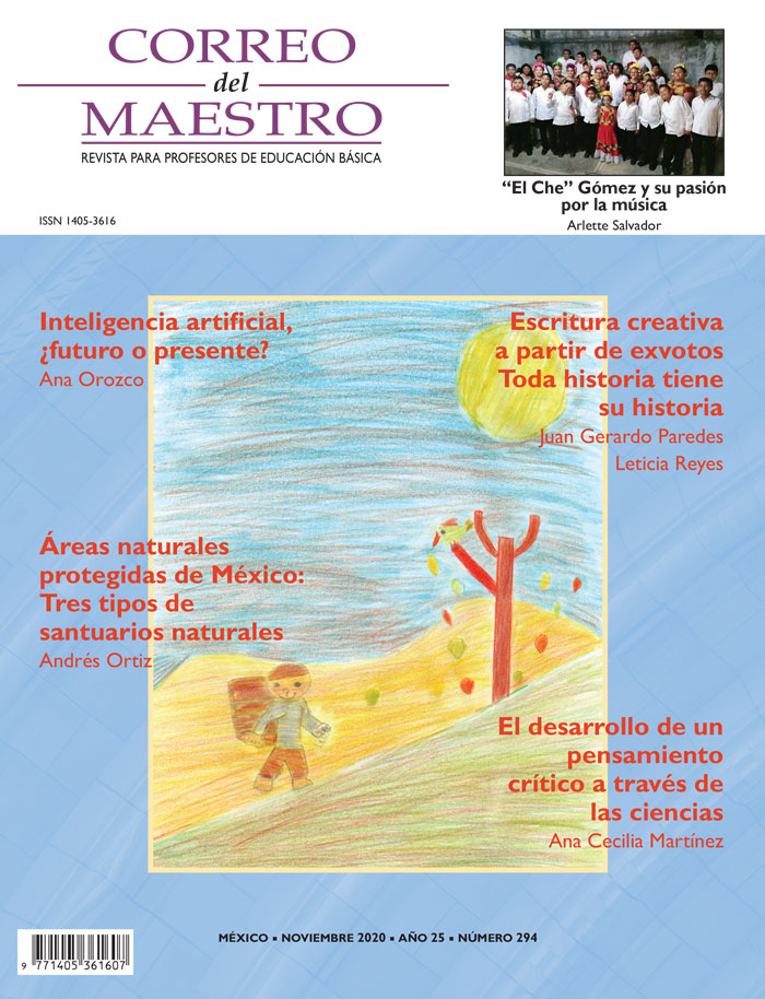 Correo del Maestro - Noviembre 2020 #294