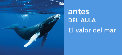 Correo del Maestro entre nosotros