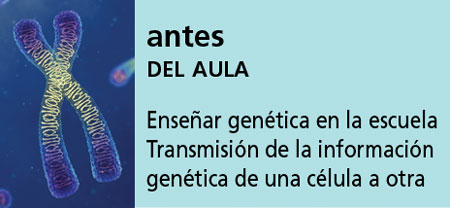Correo del Maestro antes del aula