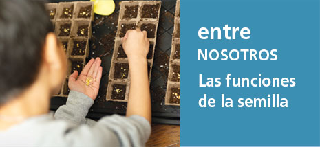 Correo del Maestro entre nosotros