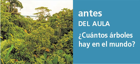 Correo del Maestro antes del aula