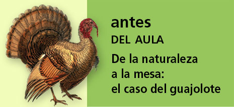 Correo del Maestro antes del aula