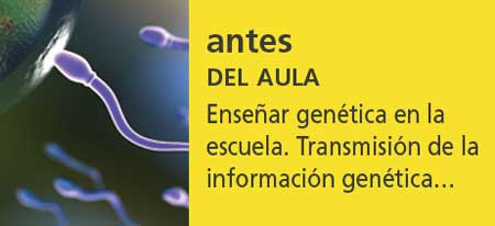 Correo del Maestro antes del aula