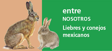 Correo del Maestro entre nosotros