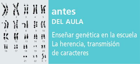 Correo del Maestro antes del aula