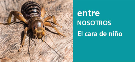 Correo del Maestro entre nosotros
