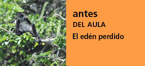 Correo del Maestro antes del aula