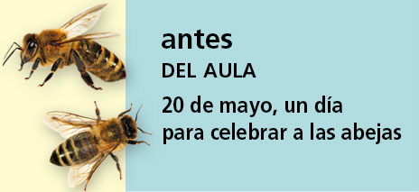 Correo del Maestro antes del aula