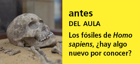 Correo del Maestro antes del aula
