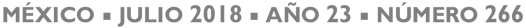 Correo del Maestro