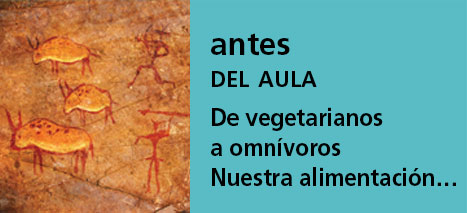 Correo del Maestro antes del aula