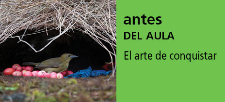 Correo del Maestro antes del aula