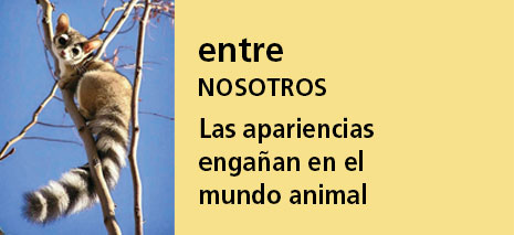 Correo del Maestro entre nosotros