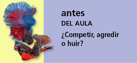 Correo del Maestro antes del aula