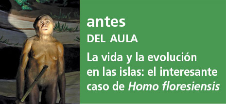 Correo del Maestro antes del aula