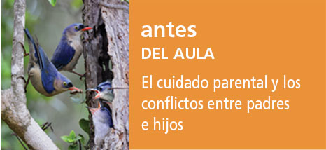 Correo del Maestro antes del aula