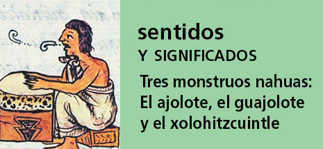 Correo del Maestro sentidos y significados