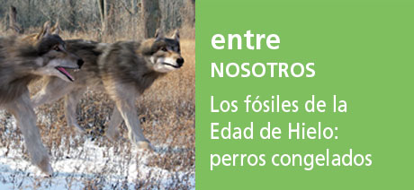 Correo del Maestro entre nosotros