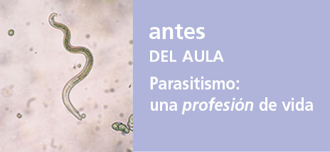 Correo del Maestro antes del aula