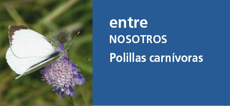 Correo del Maestro entre nosotros