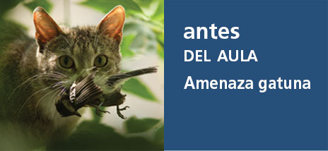 Correo del Maestro antes del aula